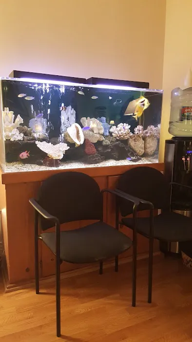 Arbor Vitae - Chiropractor - Santa Monica Picture 7