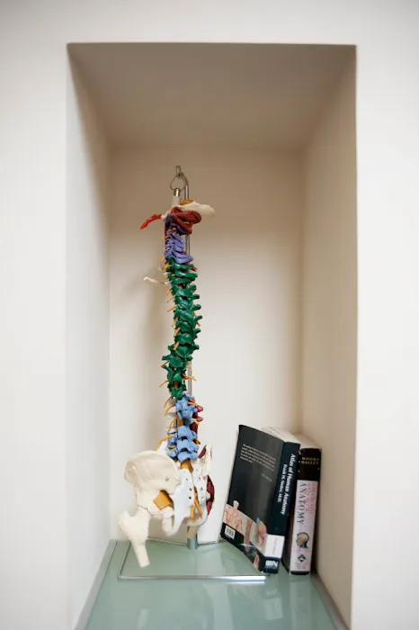 SOL Spine and Injury Picture 9