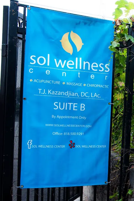 SOL Spine and Injury Picture 10