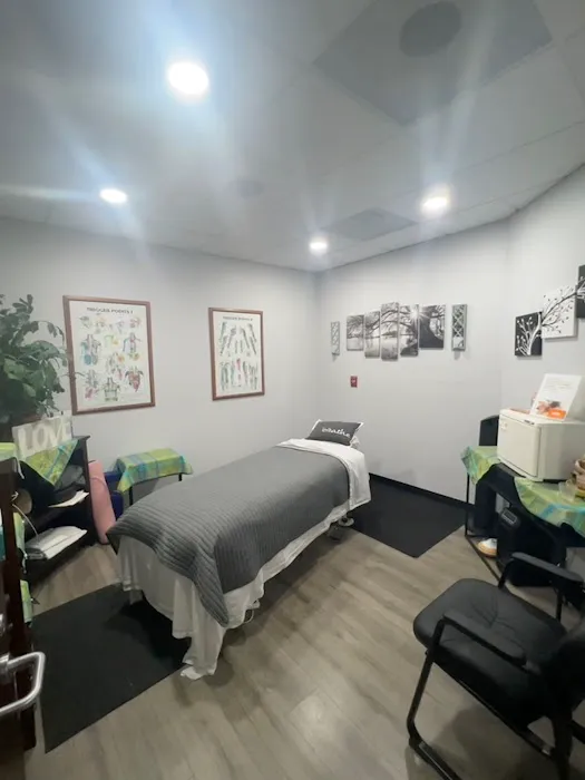Soloway Chiropractic Picture 5