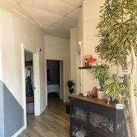 Ton Sports Chiropractic ico