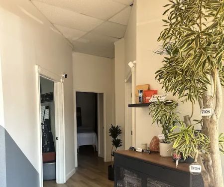 Ton Sports Chiropractic