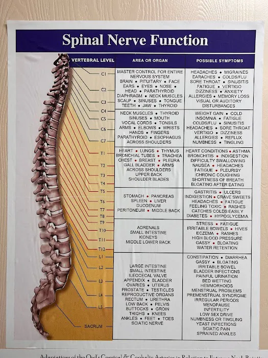 Mark M. Kosker, DC Chiropractor Picture 8