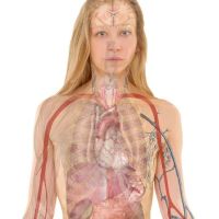 Bella Cohen | Rolfing Specialist ico