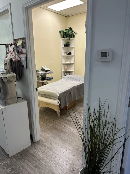 The Chiropractic Healing Center of Jack Bendavid DC Picture 7