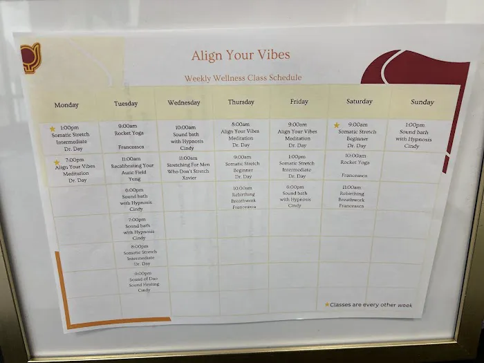 Align Your Vibes Chiropractic Picture 5