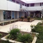 Cioffi Chiropractic Center: Michael J. Cioffi, D.C.