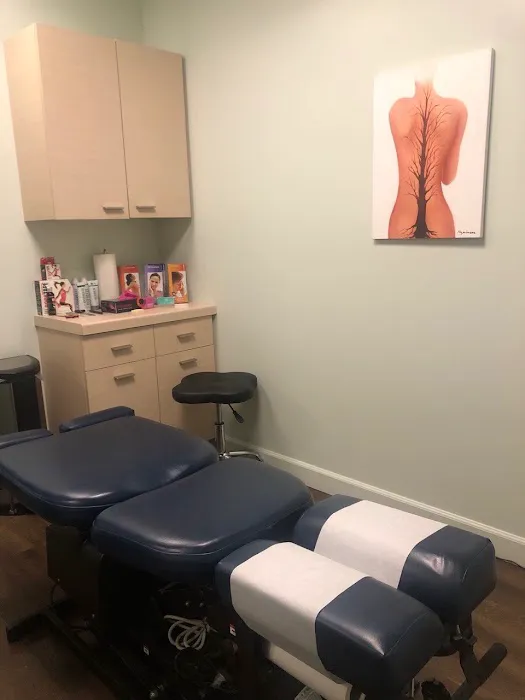 Spine Hygiene Chiropractic Picture 6