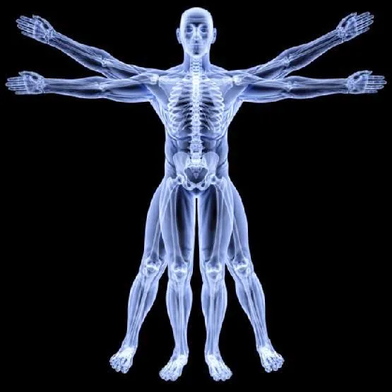 Dr. Jessica Grichy, D.C Picture 1