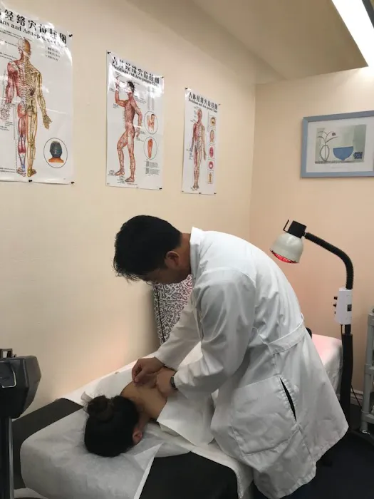 Advanced Chiropractic Rehab Picture 4