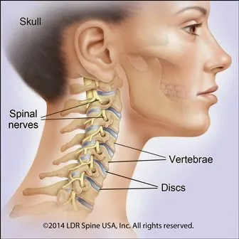 Armani Chiropractic Picture 6