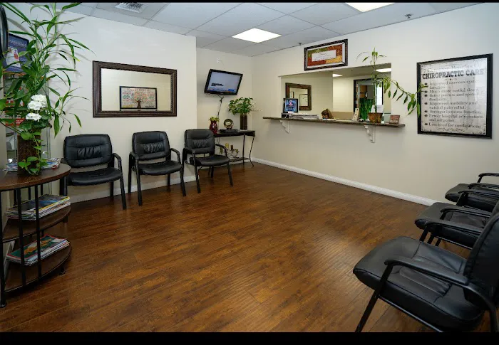 Dr. Elham Nemat, DC Picture 4