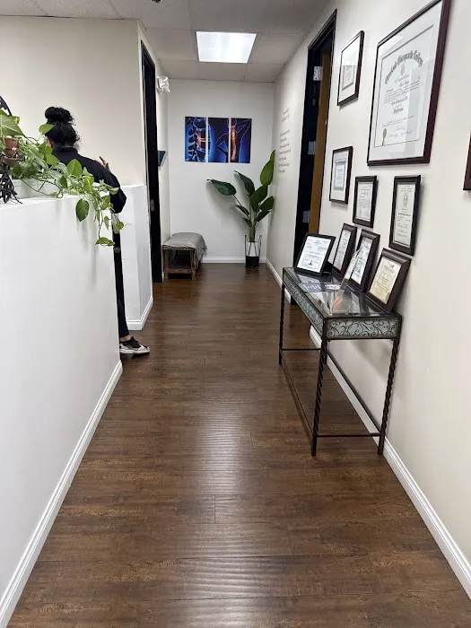 Dr. Elham Nemat, DC Picture 7