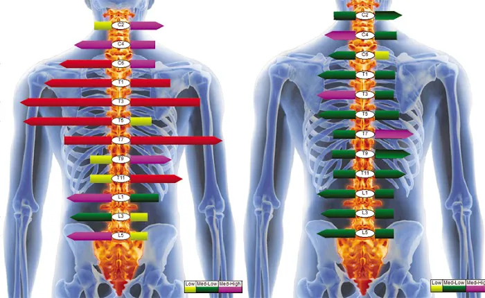 Prestige Chiropractic Family Wellness Center Picture 10