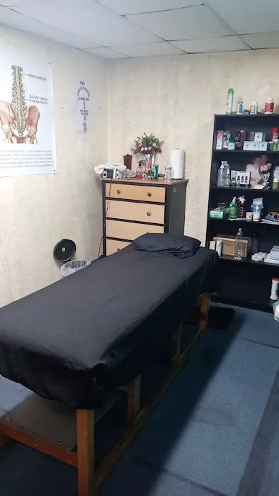 Sobador huesero Picture 9