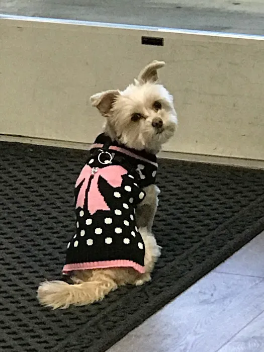 Chong Chiropractic Picture 7