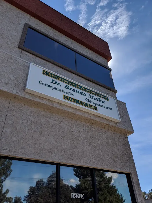 Brenda M. Malka, D.C.,L.Ac. Picture 3