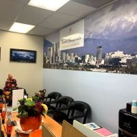 Termini Chiropractic Relief & Wellness ico