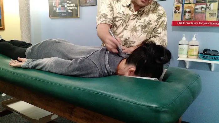 Termini Chiropractic Relief & Wellness Picture 7