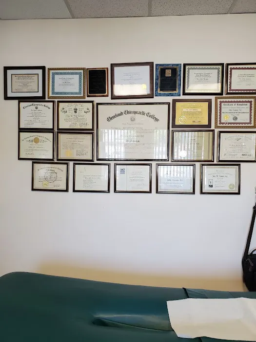 Termini Chiropractic Relief & Wellness Picture 10