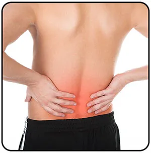 Dr. Mirabadi Chiropractic Picture 8
