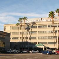 Wells Chiropractic Corporation, Michael Wells DC LAc and David Wells DC LAc ico