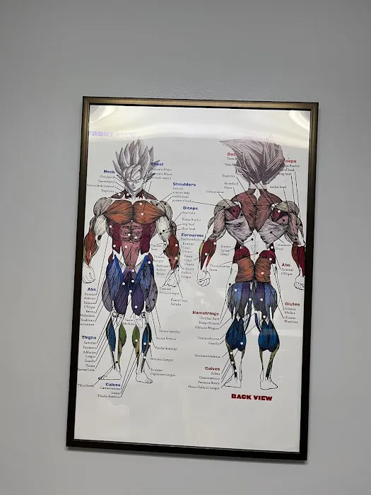 Chiropractic Elevated Picture 6