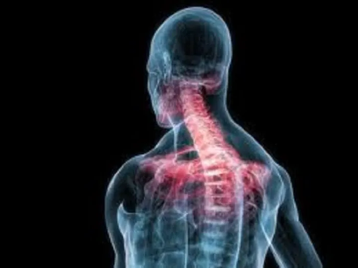Pain Free Life Picture 2