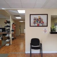 Advanced Neuromusculoskeletal ico