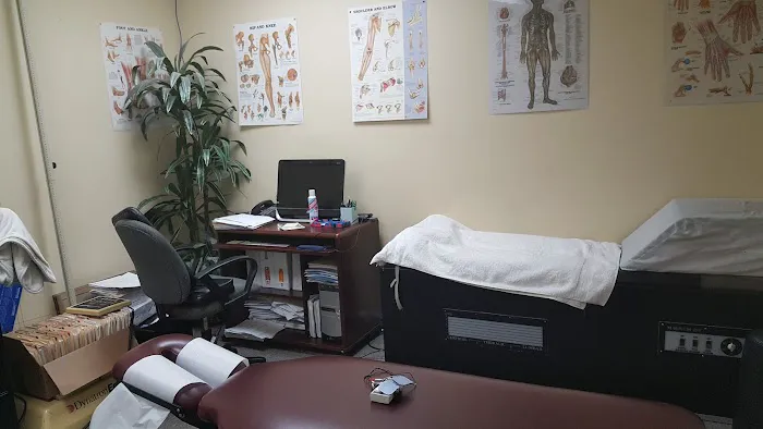 Advanced Neuromusculoskeletal Picture 6