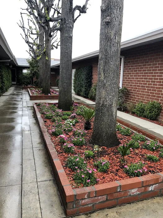 ValleyCare Chiropractic Clinic INC. Picture 2