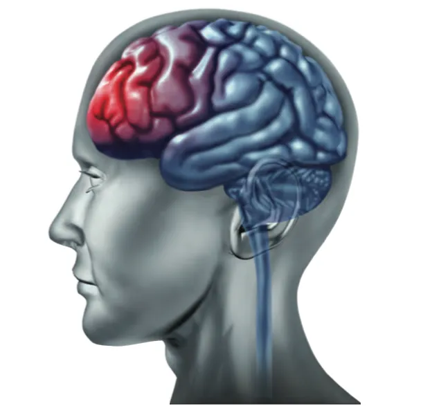 MedStar Head Trauma & Chiropractic Center Picture 2