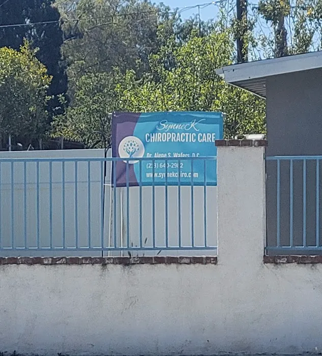 SynneK Chiropractic Care Picture 4