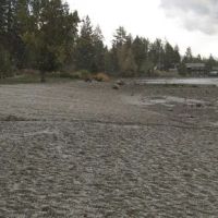 Dr. Milton L. Payne ico