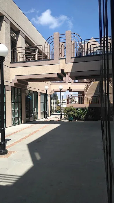 Yelena Orel Chiropractic Picture 1