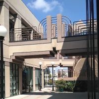 Yelena Orel Chiropractic ico