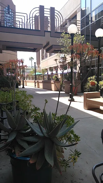 Yelena Orel Chiropractic Picture 2