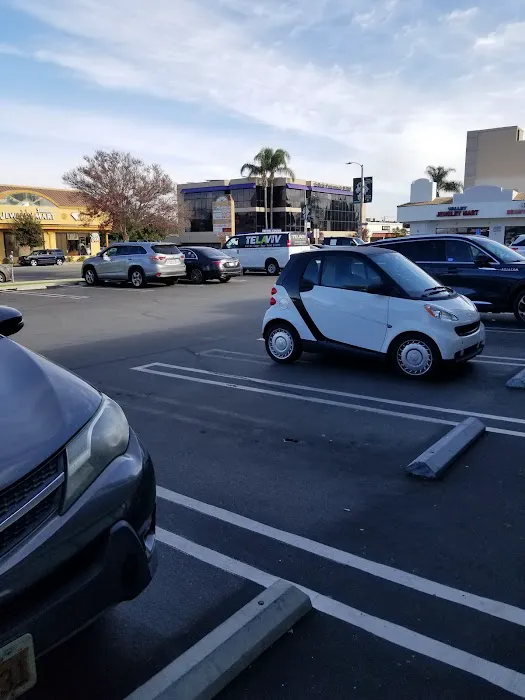 Chiropractor Get $10 off $75 Picture 3