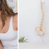 Gentle Touch Chiropractic - Dr Sayel Fakhoury ico