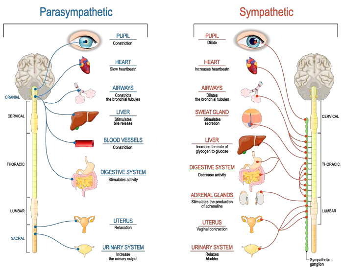 Robert Emard DC Picture 3