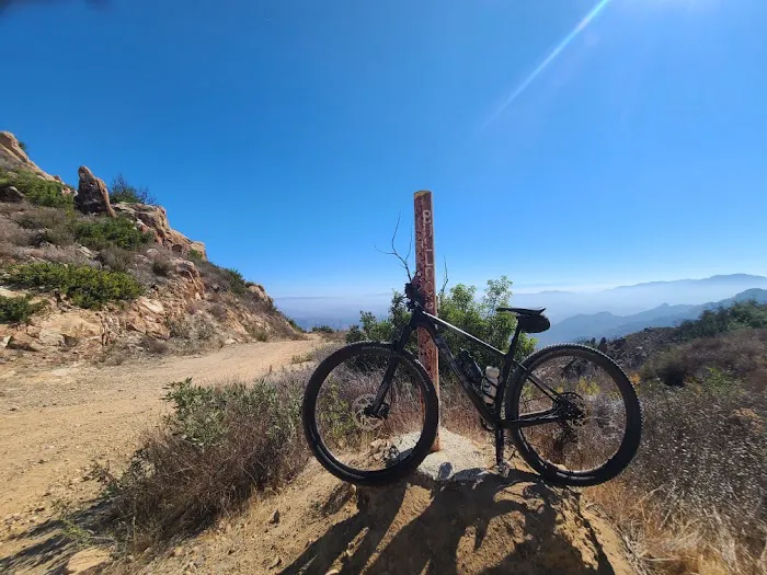 Savage Clinic Picture 6