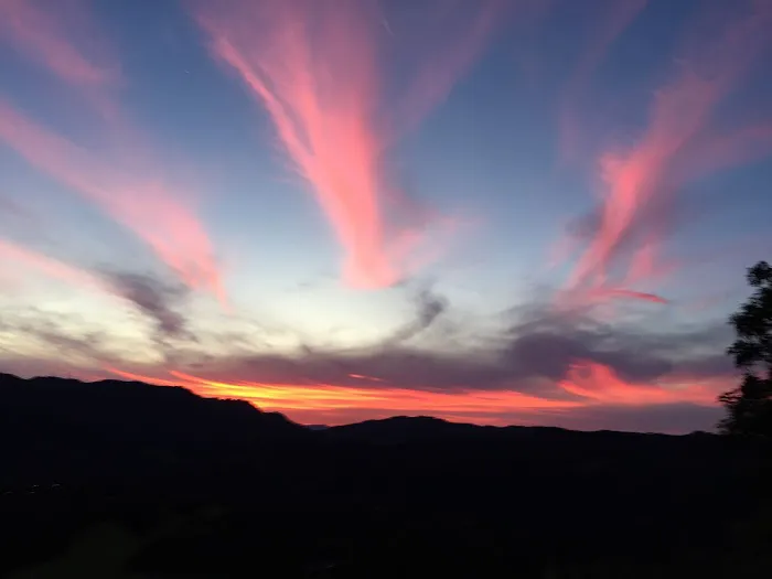 Dr. Michael J. Campbell DC Picture 1