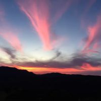 Dr. Michael J. Campbell DC ico