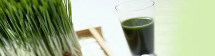 Bruce Brody, DC Picture 2