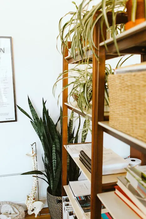 Hygge Chiropractic + Acupuncture Picture 1