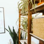 Hygge Chiropractic + Acupuncture