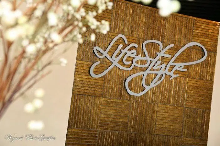 Lifestyle Chiropractic and Wellness Picture 5