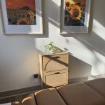 Kc Inclusive chiropractic