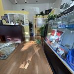 Divine Chiropractic & Wellness Center
