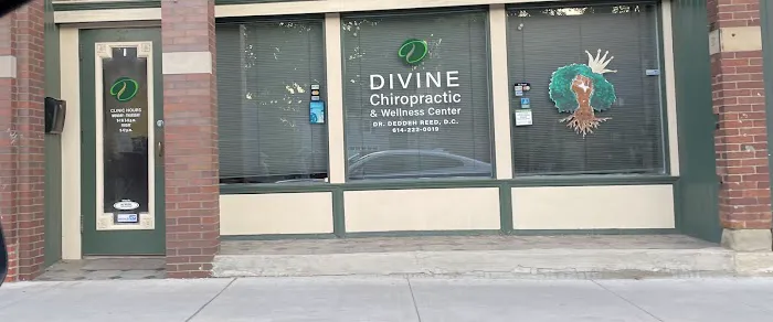 Divine Chiropractic & Wellness Center Picture 6